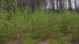 На смену хорошему ВСЕГДА приходит лучшее