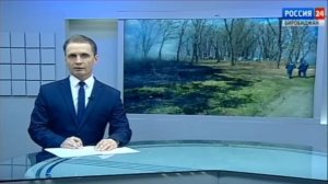 В Еврейской автономной области стабилизировалась лесопожарная обстановка