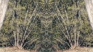 WILD ART — Взломанное Восприятие. Проявление Стража