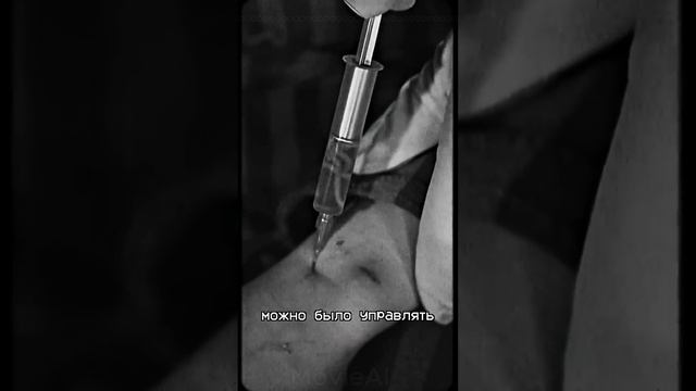 Сталионы 1-10 серии. #история #нейросеть #иивидео #сталионы