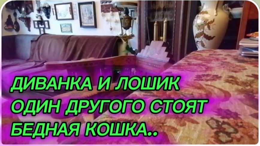 САМВЕЛ АДАМЯН, ОБЗОР ОТ СВЕТЛАНЫ БЕККЕР, ДИВАНКА И ЛОШИК ОДИН ДРУГОГО СТОЯТ, БЕДНАЯ КОШКА.. смотреть онлайн