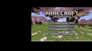 играю с блогером Ivanix_MC