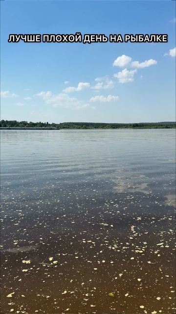 Запомнит эти слова