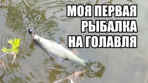 Рыбалка на голавля на красивой мини-речке. Спиннинг 2026. Впервые рыбачу целенаправленно на голавля