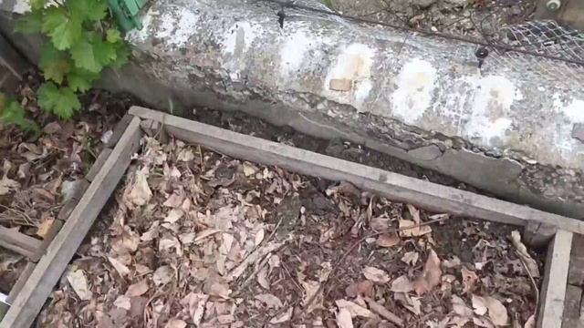 электрокультура на огороде. напряжение из хлама
