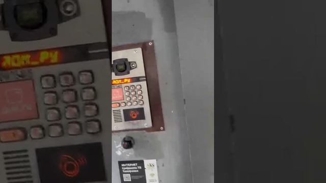 1000269399.mp4 ооооо смотреть онлайн