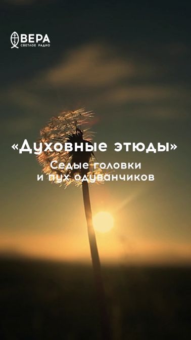 Седые одуванчики — образ зрелости