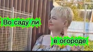 Во саду ли, в огороде. Новости от Игоря.