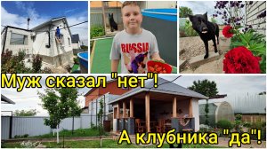 Наше кубанское подворье 🏡 Муж сказал «нет», а клубника « да»! 🍓
