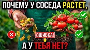 Почему у соседей всё растёт, а у вас нет 8 скрытых причин, которые губят сад!