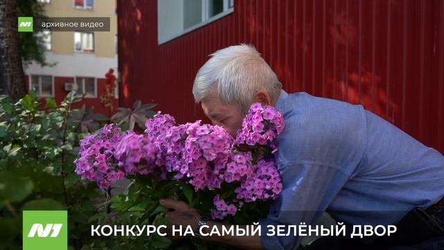 Конкурс на лучший зелёный двор в Нижневартовске