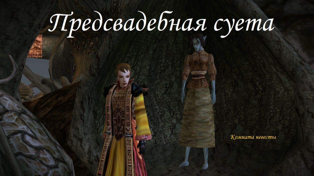 Morrowind. "Предсвадебная суета"