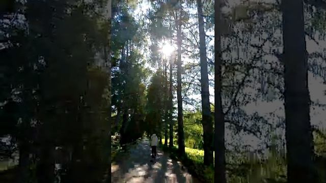 Прогулка по ботаническому саду
