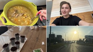 Гороховый суп/ посеяла огурцы/ прохождение инвалидности ребенку