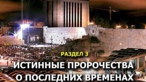 «»Эшелон» в никуда...«Фильм Сергия Серюбина 2008(ч.3(3)-«Истинные пророчества о Последних временах»)