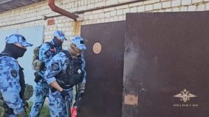 Ирина Волк: В Ивановской области вынесен приговор обвиняемым в кражах дорогостоящих иномарок
