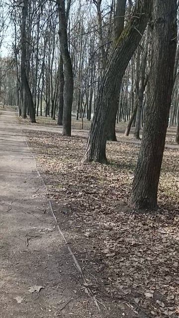В парке "Усадьба Михалково". смотреть онлайн