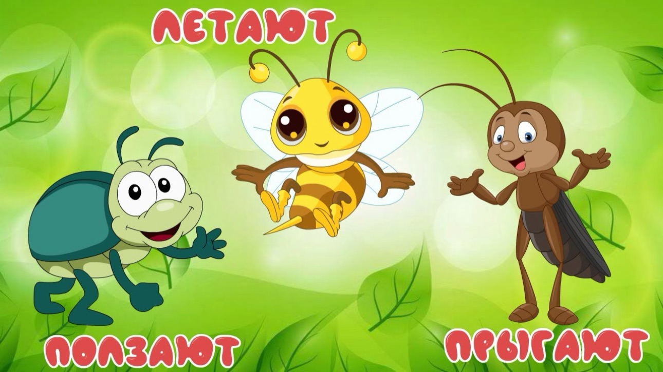 Насекомые для детей