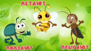 Насекомые для детей