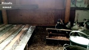 Сделали площадку для индоуток