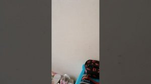 Штукатурка +серпянка. Хорошо просохнуть должна