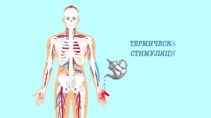 Местные анестетики