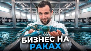 ПРОВАЛЬНЫЙ БИЗНЕС. Почему Фермы на Раков ПОСТОЯННО РАЗОРЯЮТСЯ?