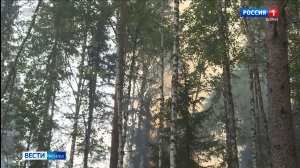В Коми на большей части территории планируют установить особый противопожарный режим