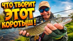 Я ПРОСТО РЕШИЛ ЕГО ПРОВЕРИТЬ… И ОБАЛДЕЛ! Maximus MINIGUN — неожиданно крутой UL бюджетник