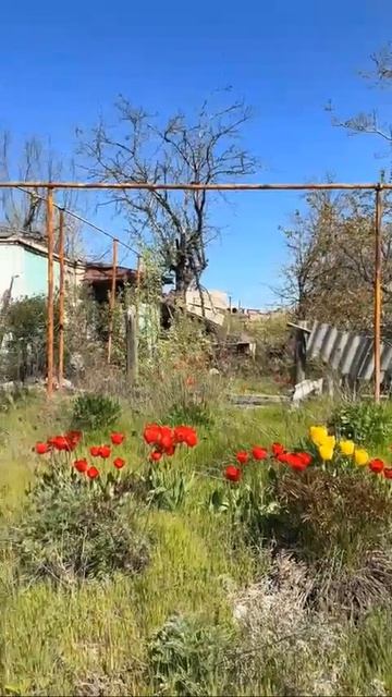 Сегодня мы ещё на один день ближе к Победе смотреть онлайн