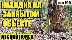 ДИВНЫЙ ЛЕС ПРЕПОДНЕС ОЧЕРЕДНУЮ ЗАГАДКУ! коп 290