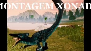 MONTAGEM XONADA