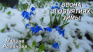 © Марина Романова «ВЕСНА В ОБЪЯТИЯХ ЗИМЫ»