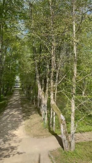 Пушкинская усадьба ПЕТРОВСКОЕ