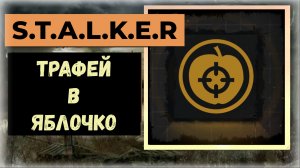 S.T.A.L.K.E.R.2 Сердце Чернобыля Где получить трофей «В яблочко»