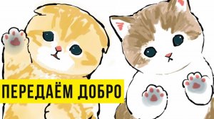 Приложи палец к экрану) Приколы с котами