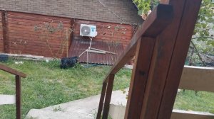 СОЧИ ГОРНОЕ ЛОО ВЕЧЕР 21.05.2026