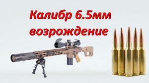 Калибр 6,5 мм: возвращение идеала?