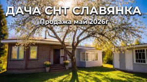 Дача - это инвестиция в свое здоровье