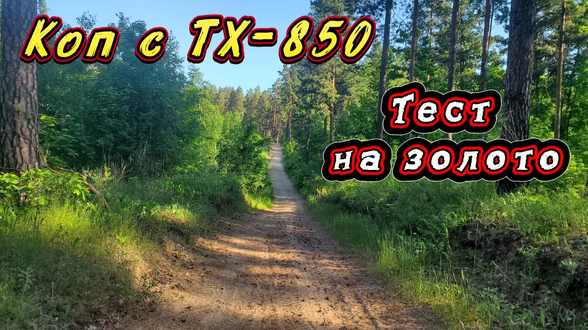 Копаю с TX-850. Тест на золото.