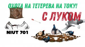 Охота на тетеревином току с лука! Три дня попыток!