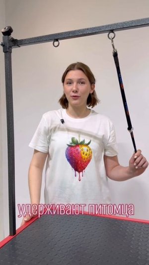 Стол для груминга электрический Клубничная помадка c розетками и органайзером