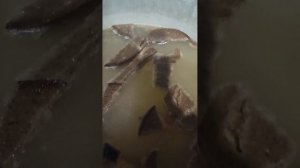 квас на рженой закваске