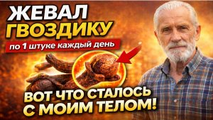 Вот что творит ГВОЗДИКА на самом деле. Зачем я ее жевал и что случилось с организмом после этого