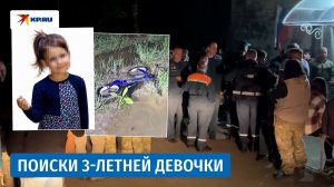 Следователи, спасатели и волонтёры ищут пропавшую под Тулой трёхлетнюю девочку