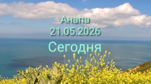 Анапа Сегодня 21.05.2026