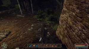 Готика 3 (Gothic 3) - 13. Сундук Эштона. Ферма Доменика.Эштон крадет золото.Отправь Фоллека работать