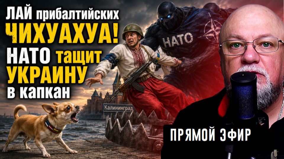 🔴ЛАЙ прибалтийских ЧИХУАХУА! НАТО тащит УКРАИНУ в капкан смотреть онлайн