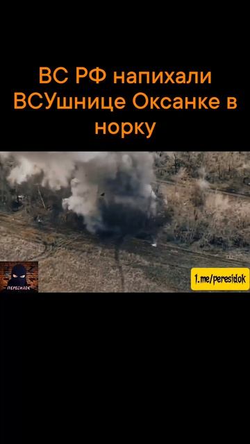 Напихали в норку ВСУшнице