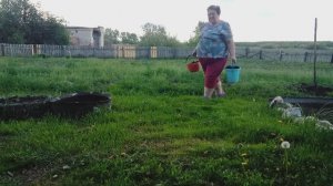 ГОТОВЛЮ ЕДУ / У МЕНЯ ЕСТЬ ХВОСТИК / ШЕЛКОПРЯД ВСЁ СОЖРАЛ / КОПАЮ, ГОНЯЮ, ТАСКАЮ, САЖАЮ